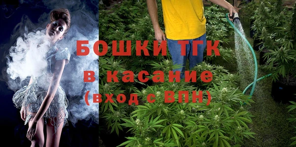 прущие грибы Протвино